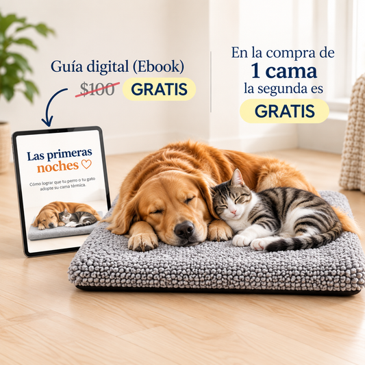 Guía digital gratis con la compra y en la compra de 1 cama la segunda es gratis, perro y gato dormidos sobre la cama térmica